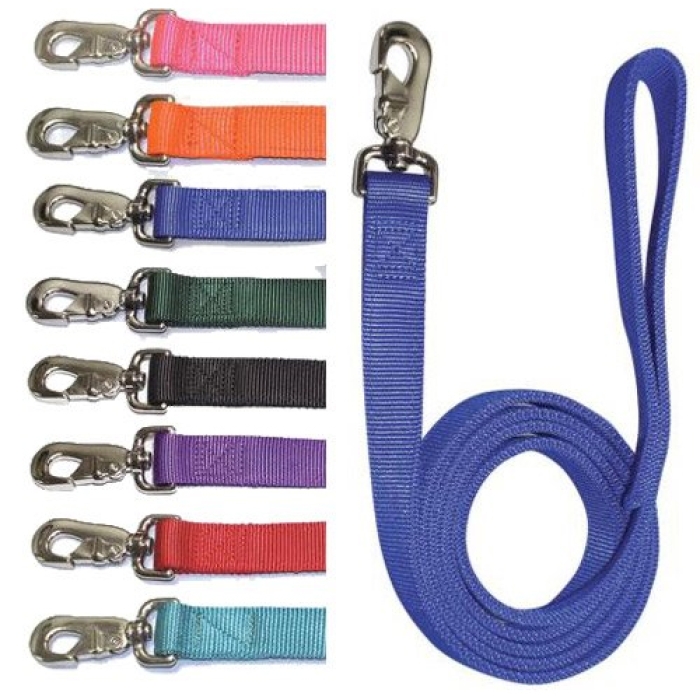 Dog and Cat Leashes/Leads